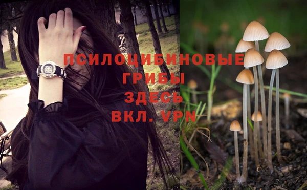 кристаллы Ельня