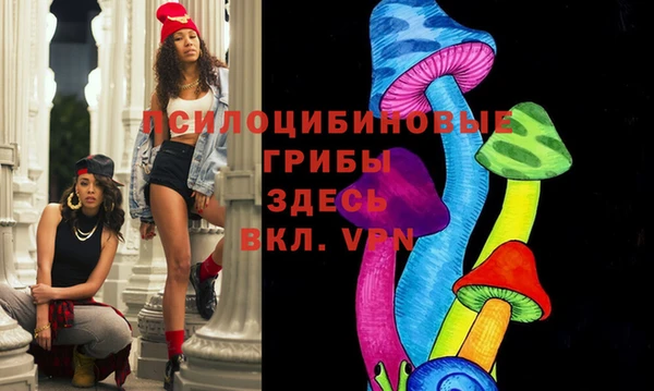 кристаллы Ельня