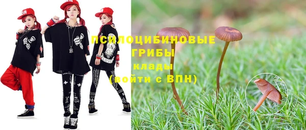 кристаллы Ельня
