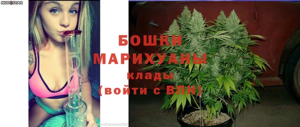 альфа пвп Елизово