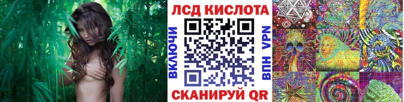Купить закладки  Дивногорск  Марки 25I-NBOMe 1,5мг 