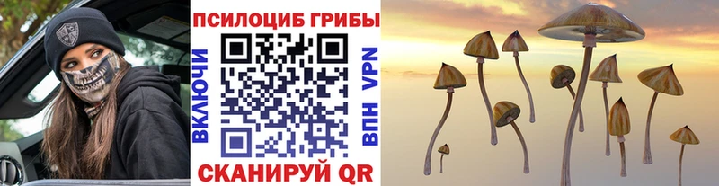 Галлюциногенные грибы MAGIC MUSHROOMS  Купить где  Дивногорск 